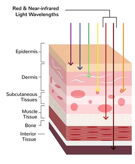 Clinical use of photobiomodulation as a supportive care during .